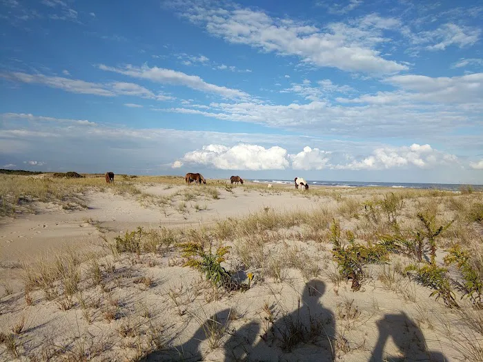 Little Levels Campground Picture 9