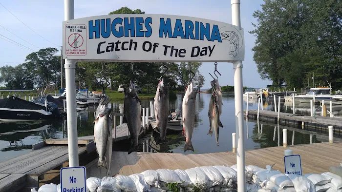 Hughes Marina & Campground Picture 1