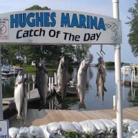 Hughes Marina & Campground ico