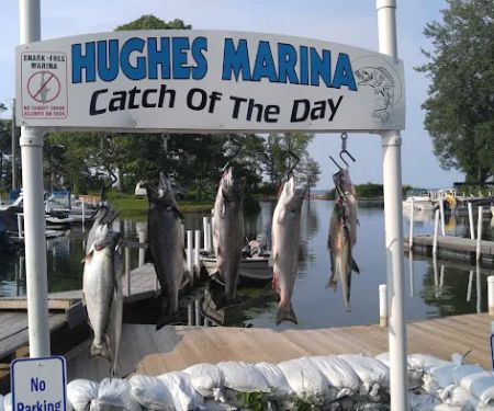 Hughes Marina & Campground