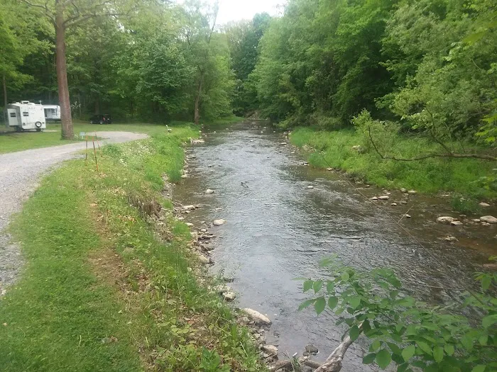 Creek-N-Wood RV Park and Campground Picture 4