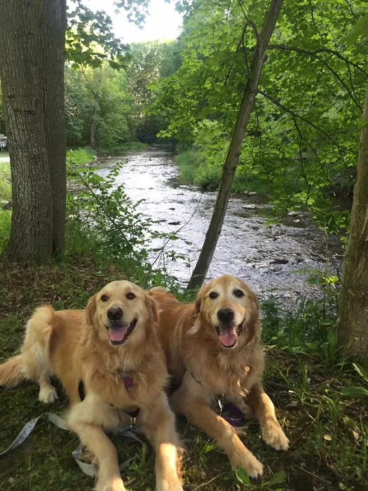 Creek-N-Wood RV Park and Campground Picture 8