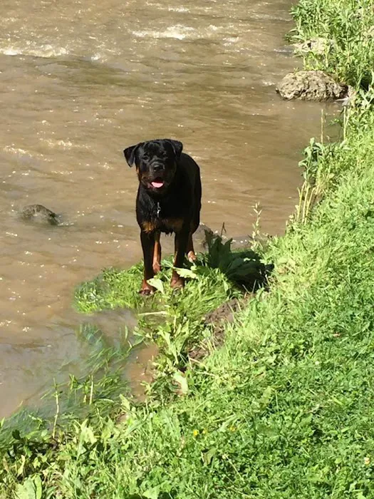 Creek-N-Wood RV Park and Campground Picture 2