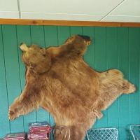 Indian Village Park ico