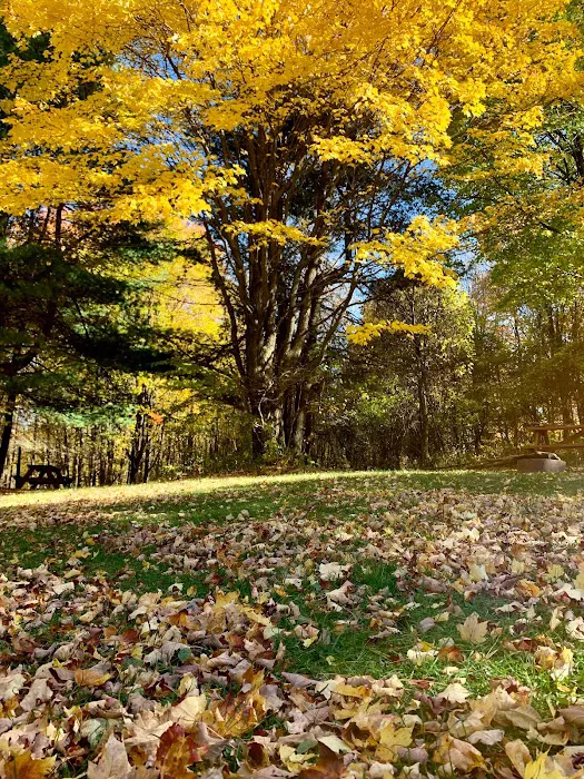 Stay Bristol Woodlands Picture 5