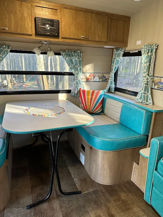 Stay Bristol Woodlands Picture 8