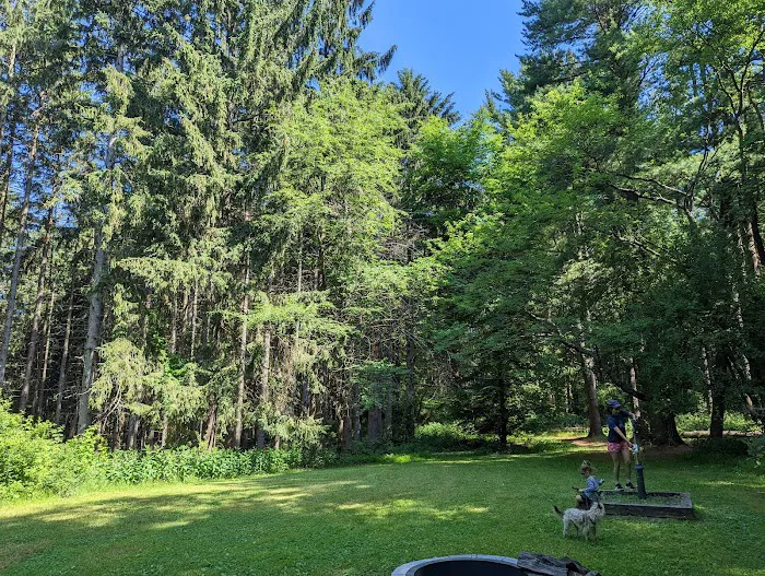 Webster Park Campgrounds Picture 4