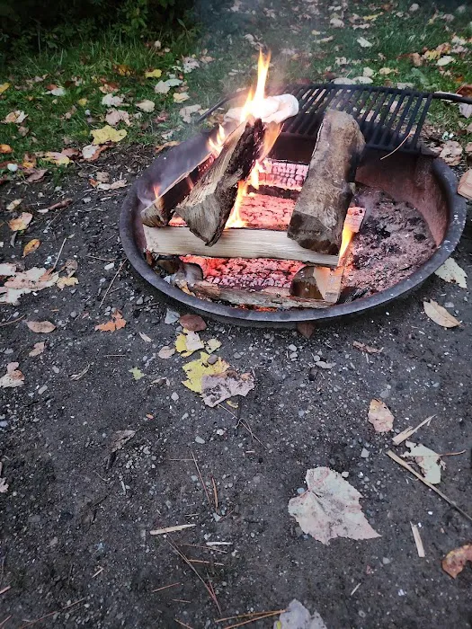 Webster Park Campgrounds Picture 6