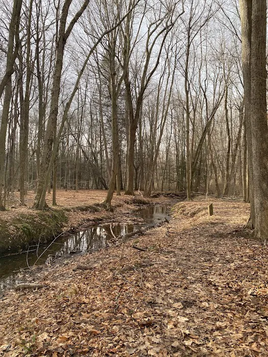 Webster Park Campgrounds Picture 3