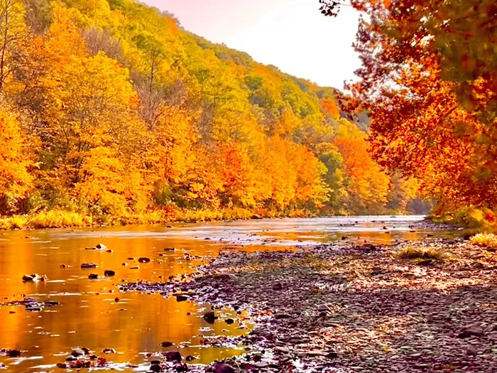 Elk Country Campground Picture 7