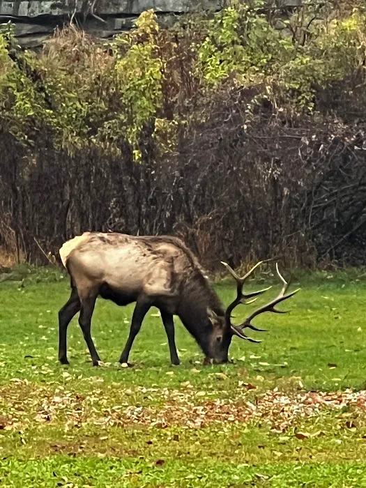 Elk Country Campground Picture 1