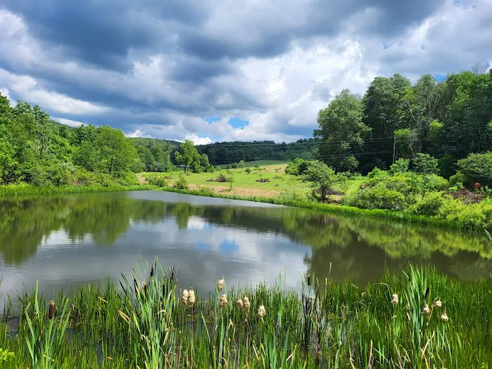 Sunset Vue Campground Picture 6