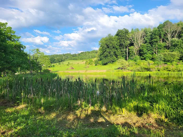 Sunset Vue Campground Picture 4