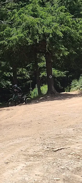 Majestic Kamp & Lost Trails Camp ground Picture 3