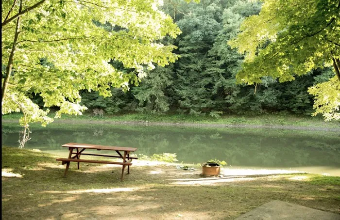 Riverhurst Park Campground Picture 5