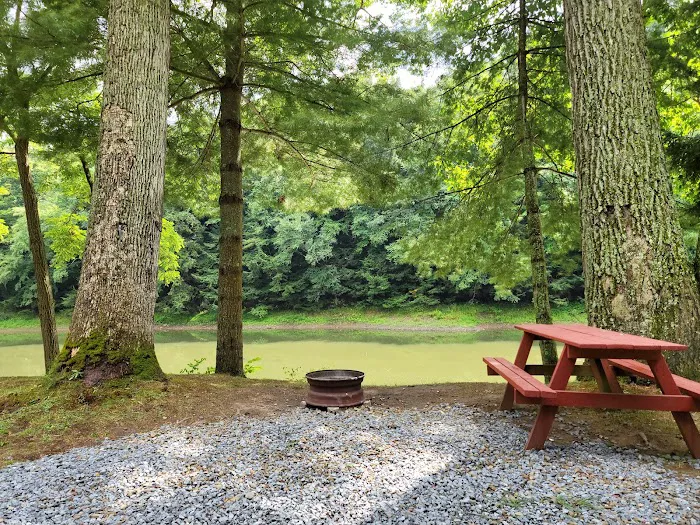 Riverhurst Park Campground Picture 6