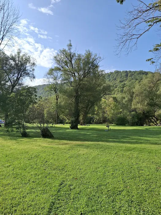 Campground Adventures Picture 7