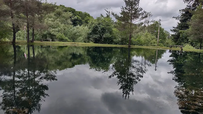 Camp Emerald Acres Picture 7