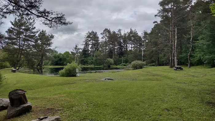 Camp Emerald Acres Picture 4