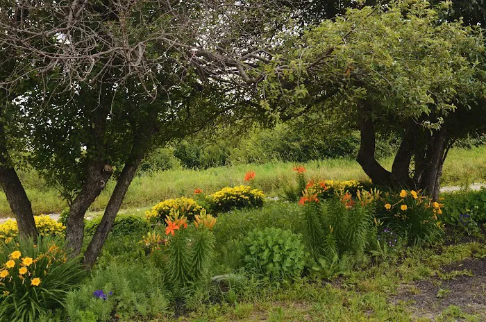 Harwood Haven Inc Picture 7