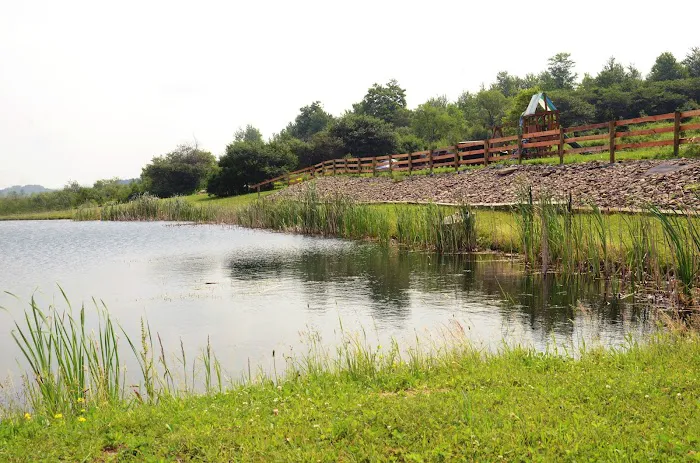 Harwood Haven Inc Picture 9