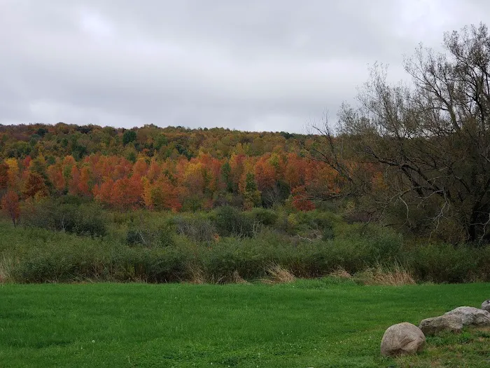 Harwood Haven Inc Picture 2