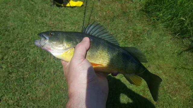 Houghton / Letchworth KOA Picture 2