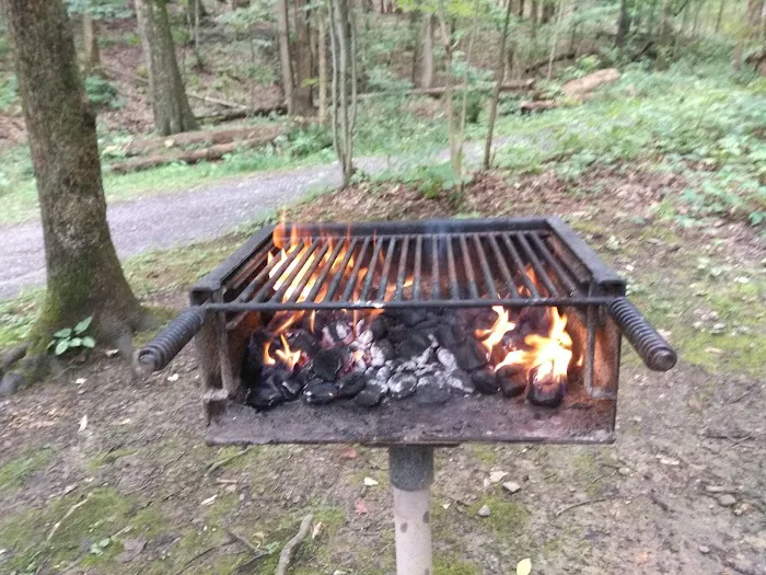 Letchworth D Cabins Picture 1