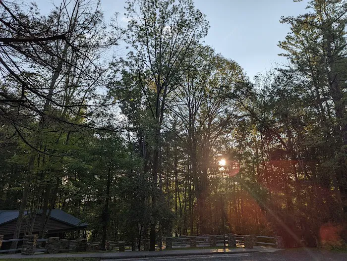 Letchworth D Cabins Picture 8