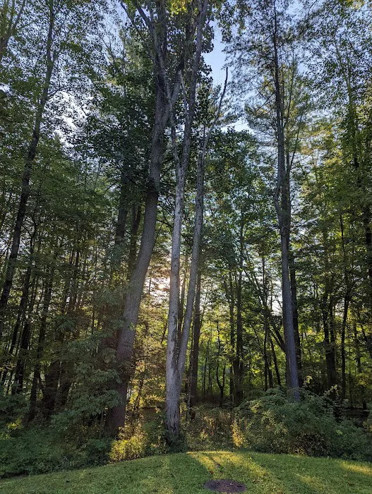 Letchworth D Cabins Picture 10