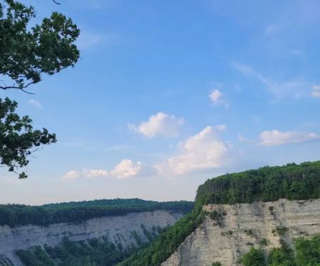 Letchworth State Park D Cabins
