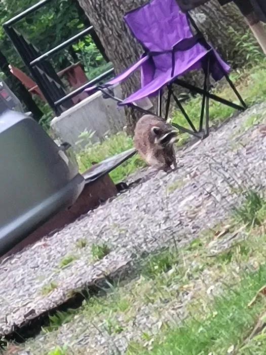 Letchworth State Park D Cabins Picture 7