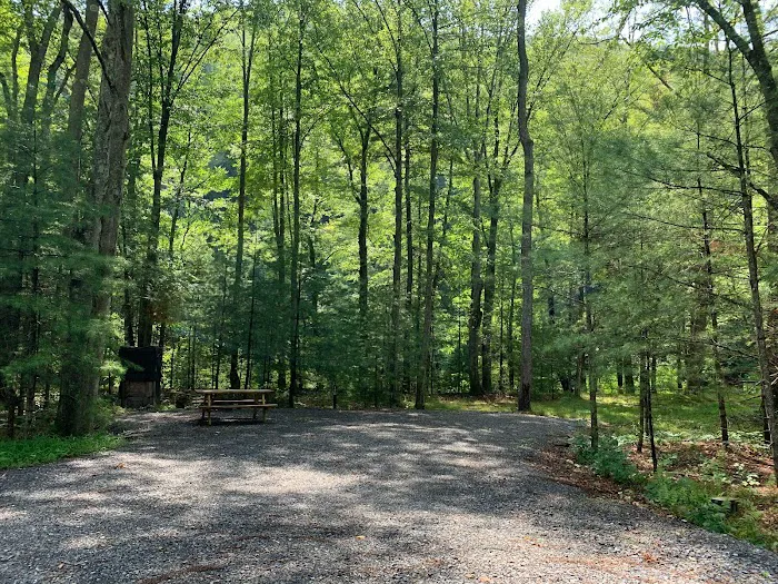 Riverview Campsites Picture 4