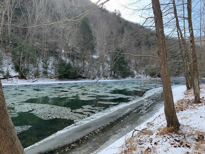 Riverview Campsites Picture 9