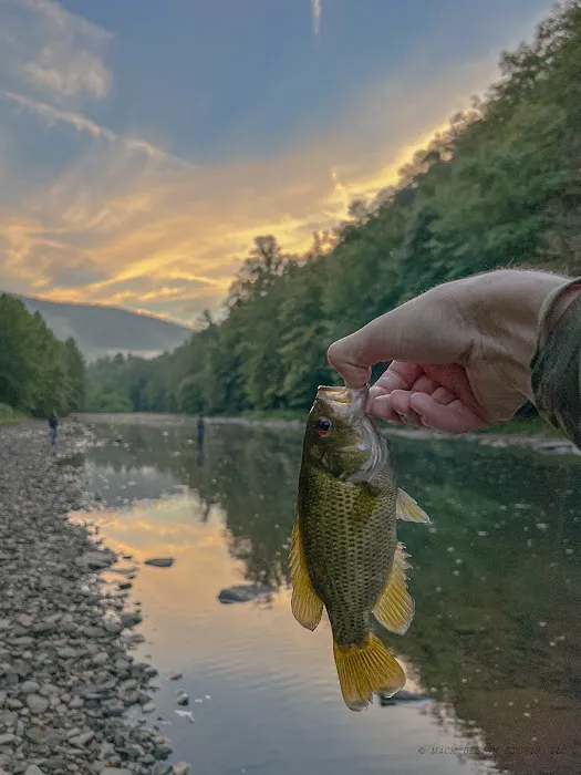 Riverview Campsites Picture 5