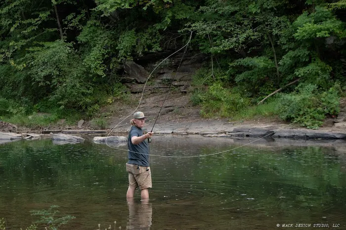 Riverview Campsites Picture 1