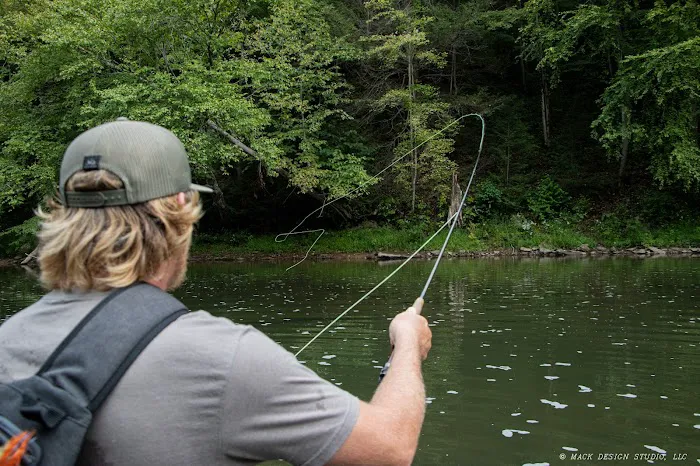 Riverview Campsites Picture 6