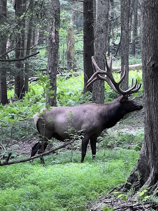 Big Rack Rentals LLC Picture 9