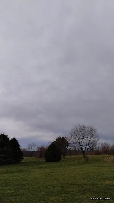 Coyote Run Picture 2