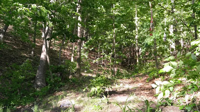 Conesus Lake RV Park Picture 3