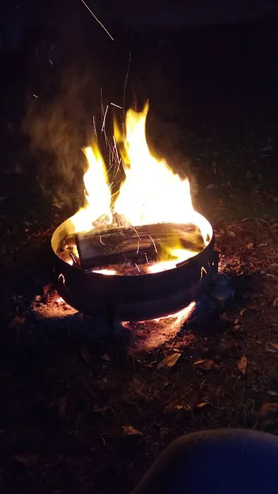 Conesus Lake Campground Picture 10