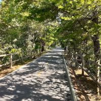 Ayoho Campground ico