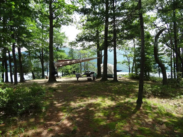 Steere Island Campground Picture 6