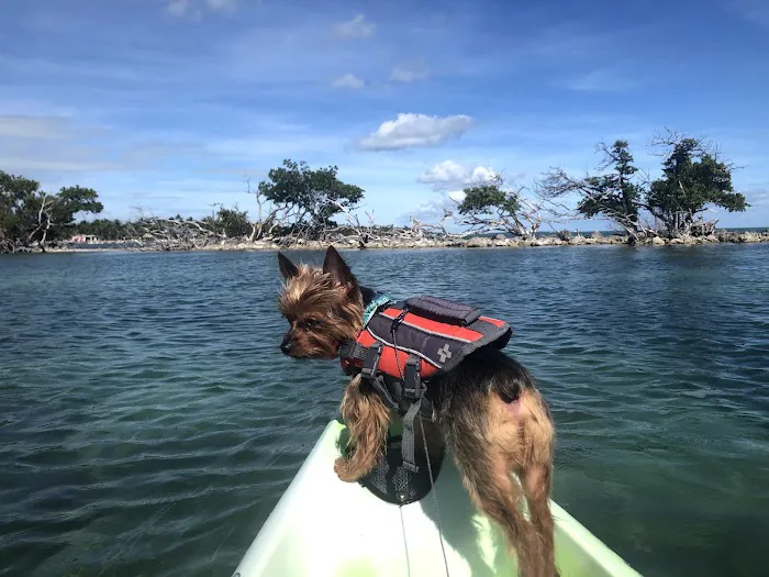 Temple Knoll Island Picture 3