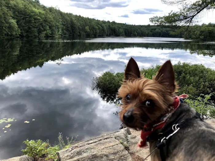 Temple Knoll Island Picture 6