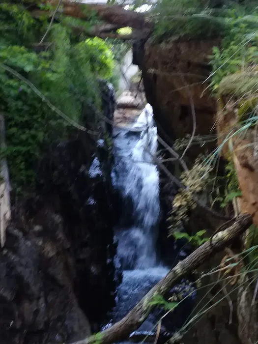 Green Acres By the Brook Picture 2