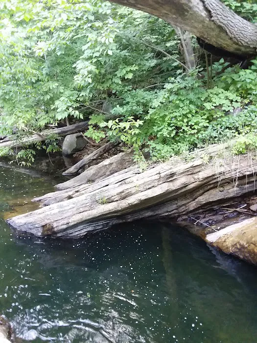 Green Acres By the Brook Picture 8