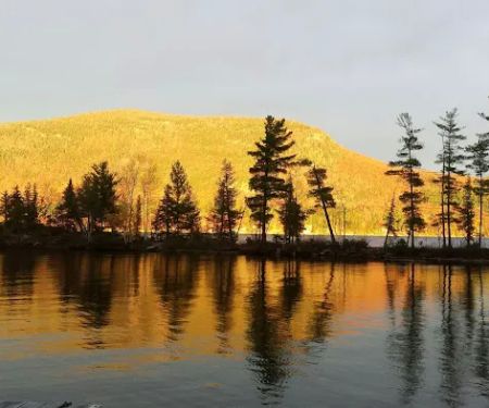 Waterhouses: Lodging, Campground & Marina