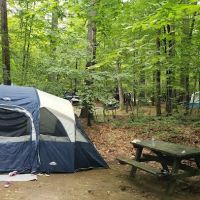 Rogers Rock Campground ico