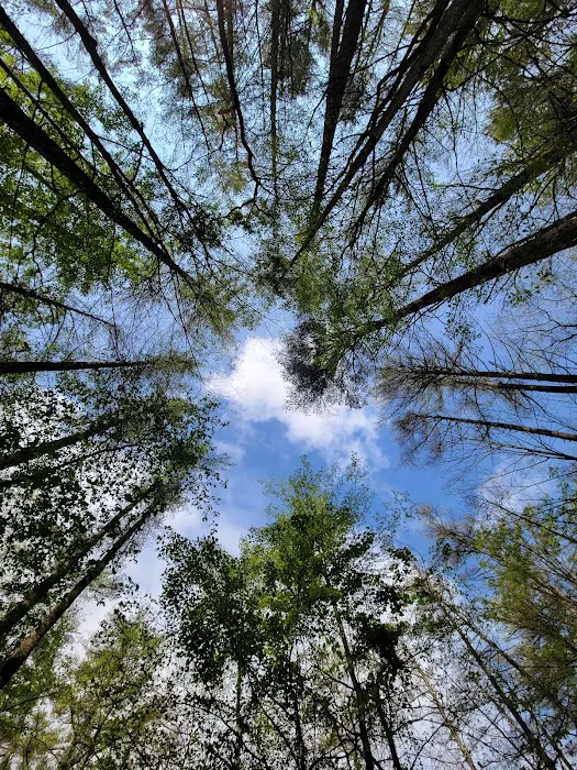 Rogers Rock Campground Picture 7